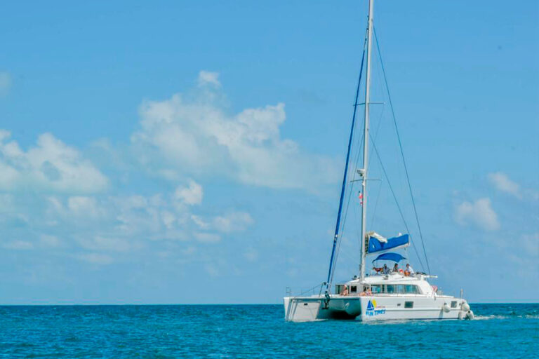 Wide shot catamaran